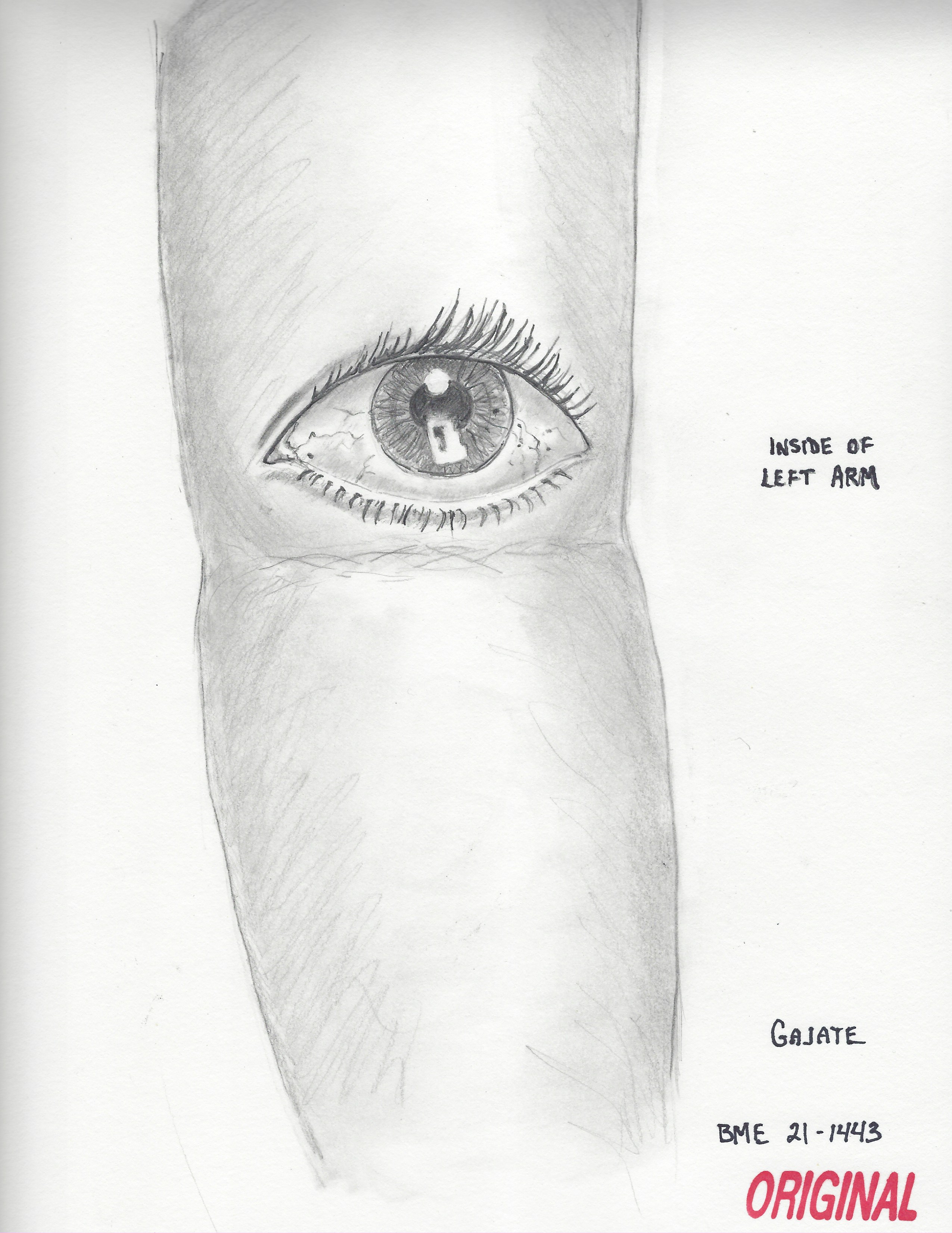 sketch of tattoo 1